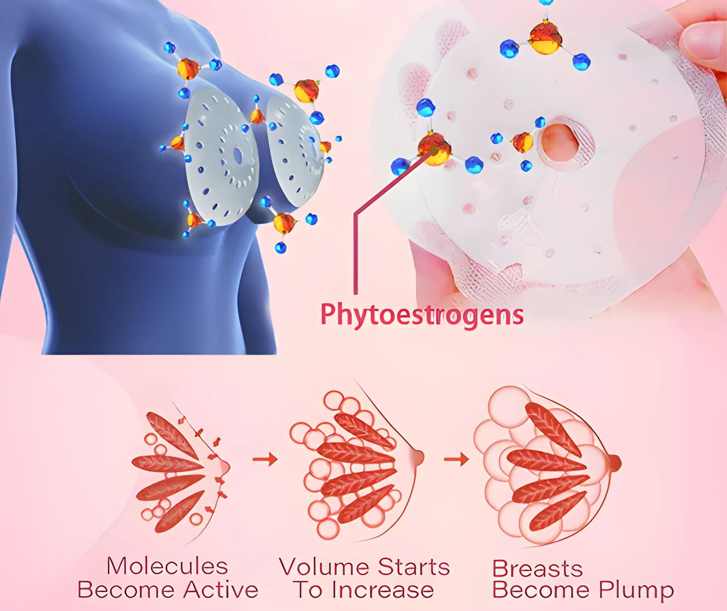LOVILDS™ 2025 Breast Pro - Plump Patch🌸💖(⏰Limited time discount last 30 minutes⏰)(副本)