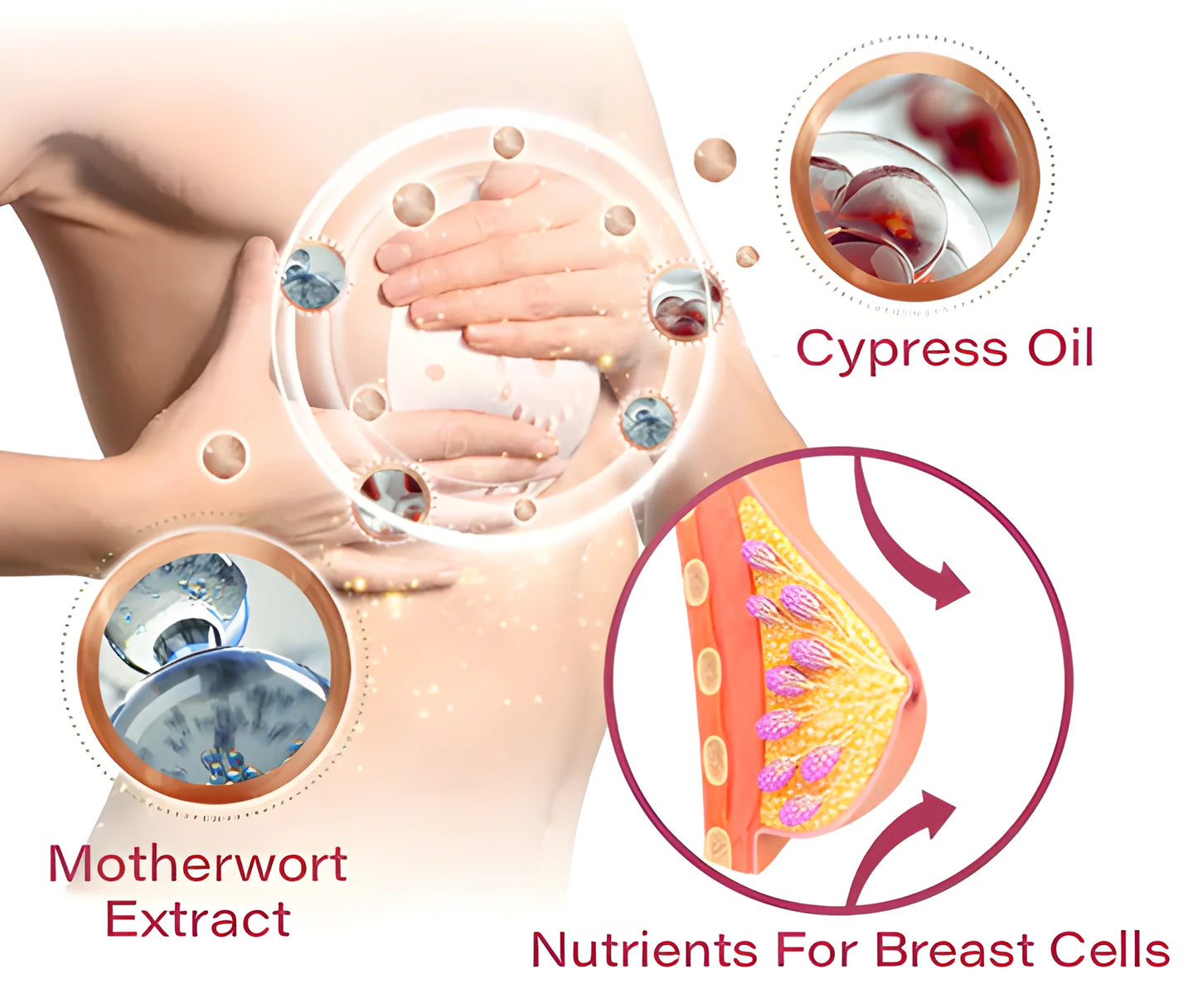LOVILDS™ 2025 Breast Pro - Plump Patch🌸💖(⏰Limited time discount last 30 minutes⏰)(副本)