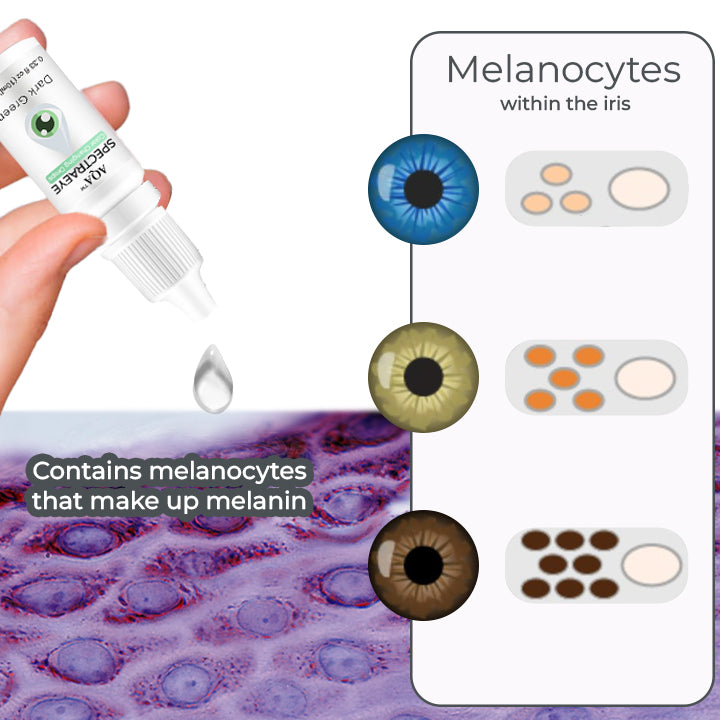 𝑨𝑸𝑨™ 𝑺𝒑𝒆𝒄𝒕𝒓𝒂𝑬𝒚𝒆 𝑪𝒐𝒍𝒐𝒓 𝑪𝒉𝒂𝒏𝒈𝒊𝒏𝒈 𝑫𝒓𝒐𝒑𝒔 𝑷𝒓𝒐 （👁️ Clinically Tested & Ophthalmologist Approved）（副本）